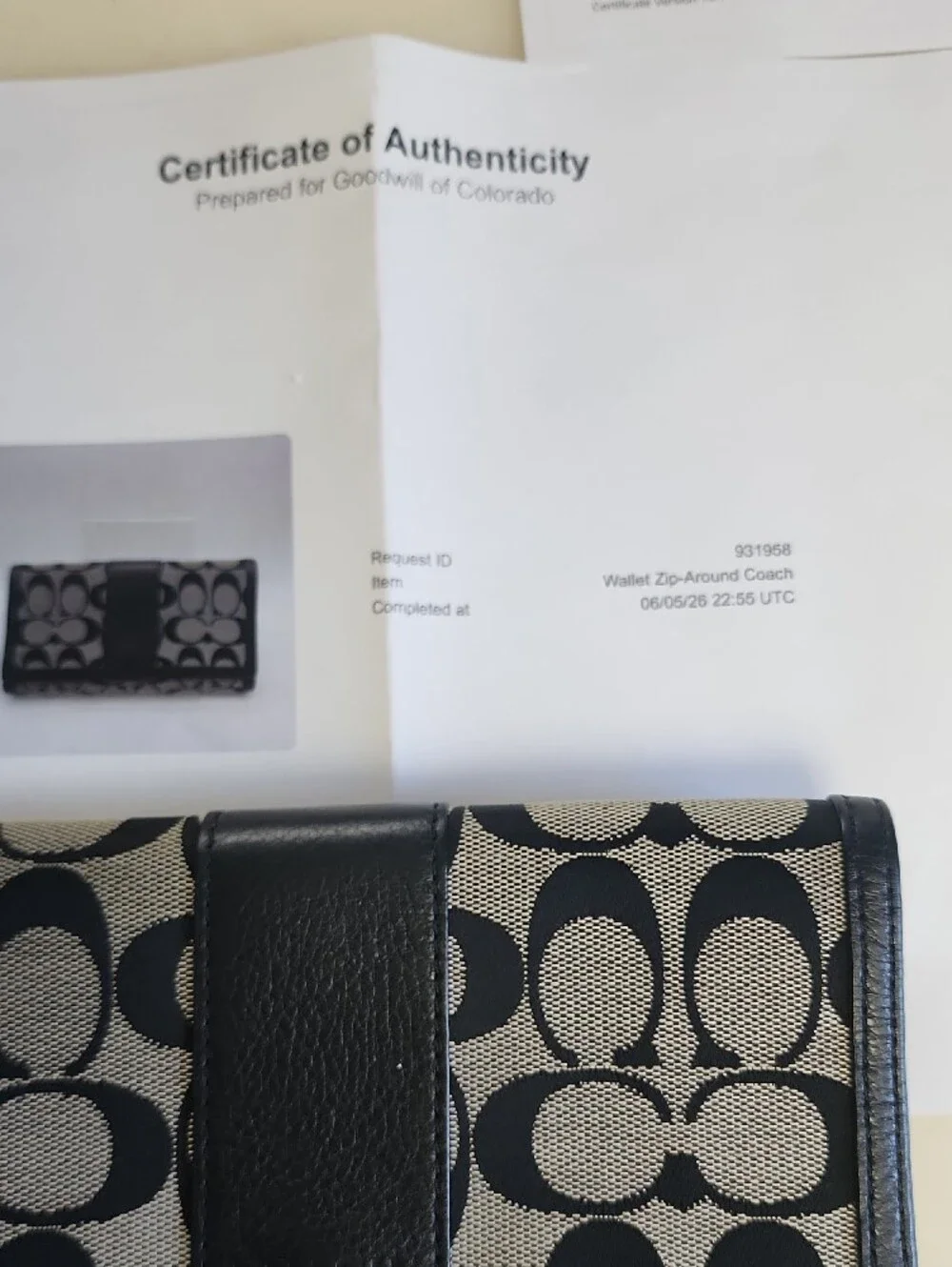 Coach signature canvas